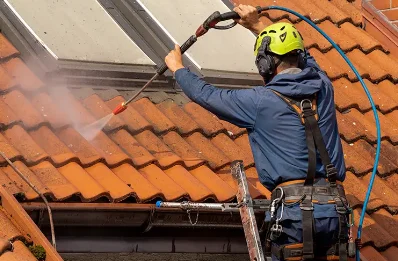 Démoussage et hydrofuge de toiture à Amigny